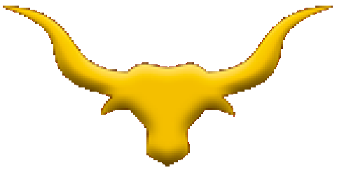 longhorn